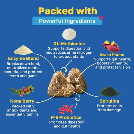 HAPPY PAWS - Happy Paws Lawn Saver Dog Chews 100 Masticables - The Red Vitamin MX - Salud De Tracto Urinario Para Perros - {{ shop.shopifyCountryName }}