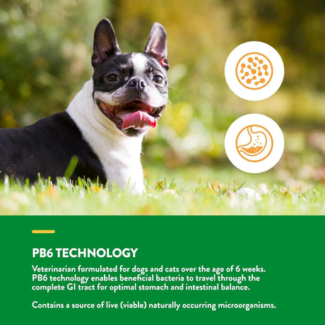 NATURVET - NaturVet Advanced Probiotics & Enzymes 454Gr. - The Red Vitamin MX - Probióticos Para Perros - {{ shop.shopifyCountryName }}