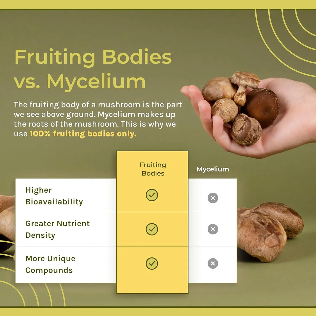 NATUREALM - Naturealm Reishi Mushroom Liquid 50Ml. - The Red Vitamin MX - Suplementos Alimenticios - {{ shop.shopifyCountryName }}