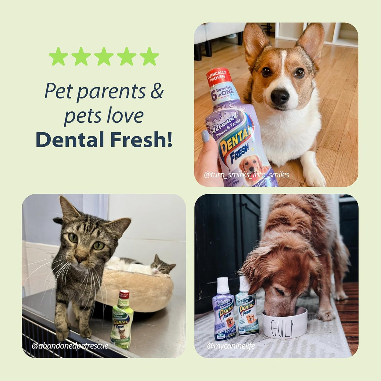 Dental Fresh Water Additive for Cats Original Formula 8 Fl.Oz.