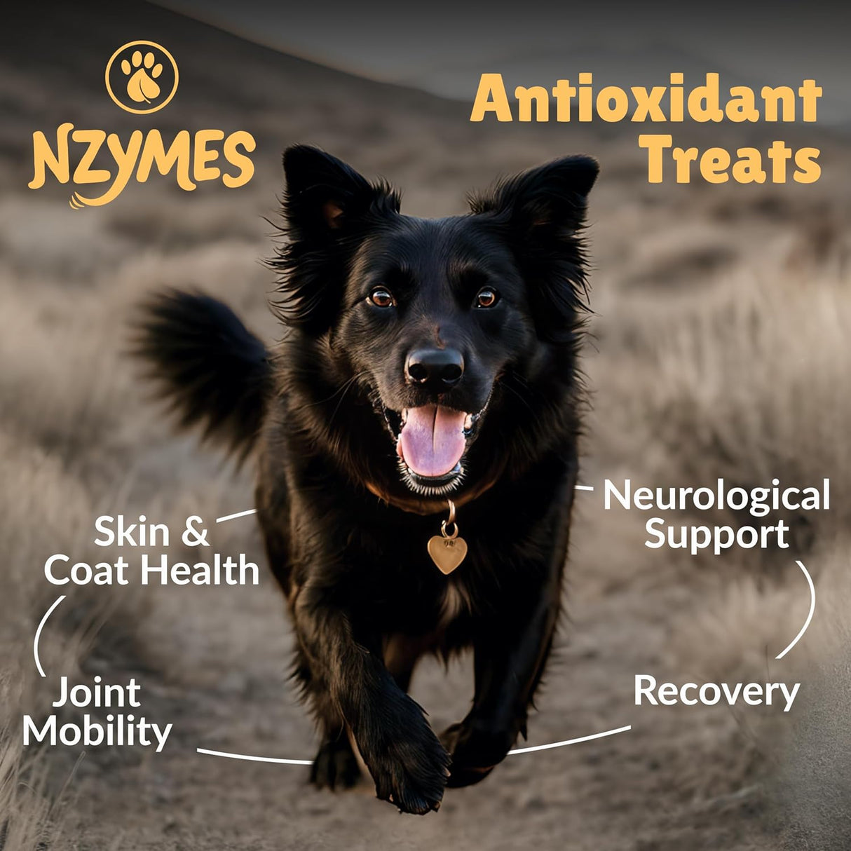Nzymes Antioxidant Treats for Dogs 60 Masticables 2 Pack