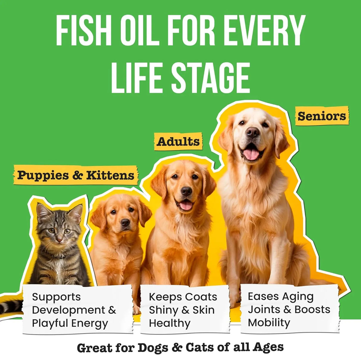 PAWSENTIAL - Pawsential Omega 3 Fish Oil for Dogs & Cats 16 Fl.Oz. - The Red Vitamin MX - Aceite De Pescado Para Perros - {{ shop.shopifyCountryName }}