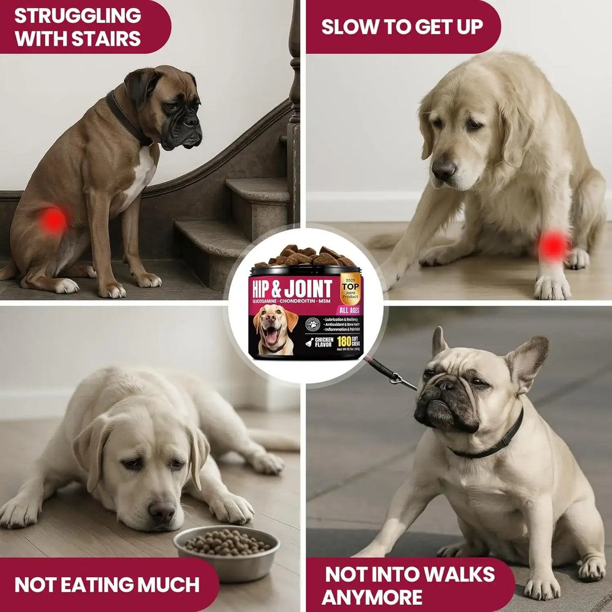 BUDDYCHEER - BuddyCheer Glucosamine for Dogs Hip and Joint Supplement Chews 180 Masticables - The Red Vitamin MX - Cuidado De Cadera Y Articulaciones Para Perros - {{ shop.shopifyCountryName }}