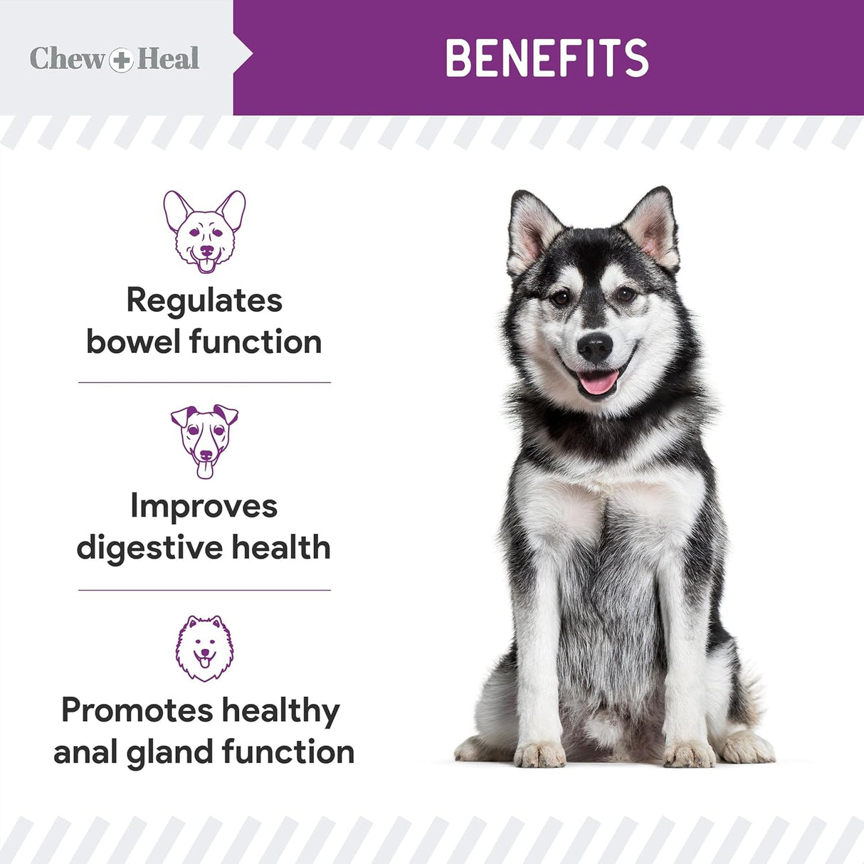 Chew + Heal Labs Stop The Scoot Fiber for Dogs 120 Masticables 2 Pack
