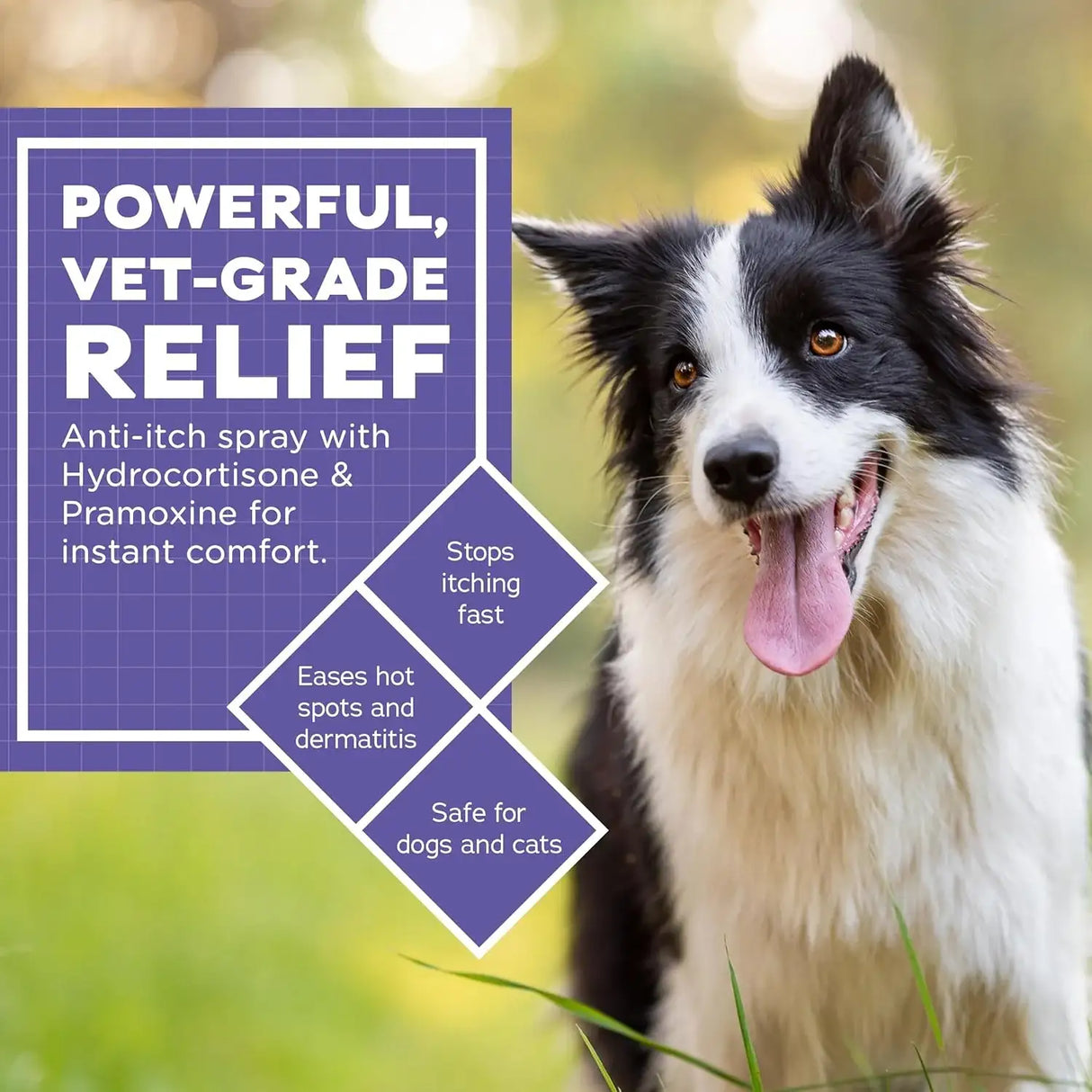 VETWELL - VetWELL Hydrocortisone Spray for Dogs & Cats 4 Fl.Oz. - The Red Vitamin MX - Remedios Para La Picazón De Perros - {{ shop.shopifyCountryName }}