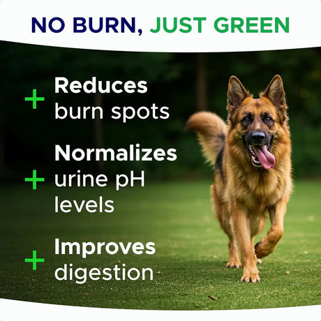 GOODGROWLIES - GOODGROWLIES Green Grass Dog Chews 120 Masticables - The Red Vitamin MX - Salud De Tracto Urinario Para Perros - {{ shop.shopifyCountryName }}