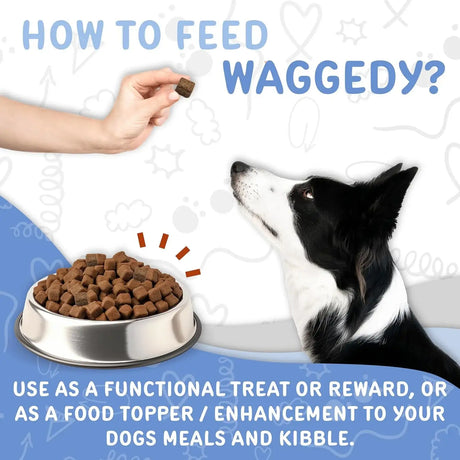 WAGGEDY - waggedy Calm with Melatonin 60 Masticables - The Red Vitamin MX - Relajantes Para Perros - {{ shop.shopifyCountryName }}