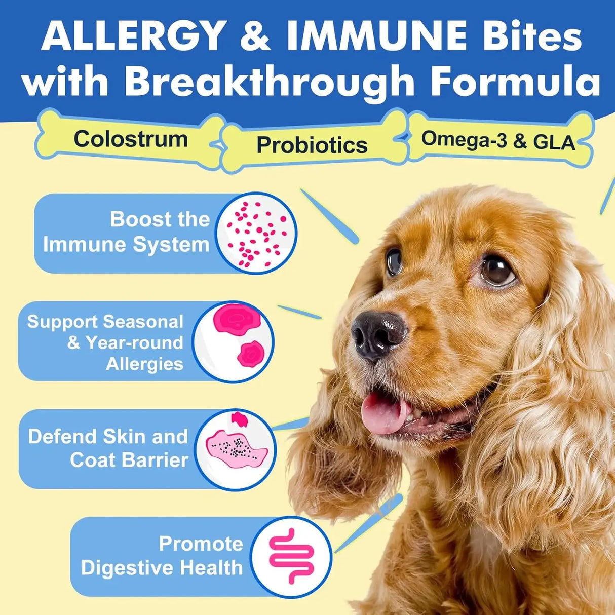 DR FOSTER - DR FOSTER Dog Allergy Relief Chews 120 Masticables - The Red Vitamin MX - Remedios Para La Picazón De Perros - {{ shop.shopifyCountryName }}