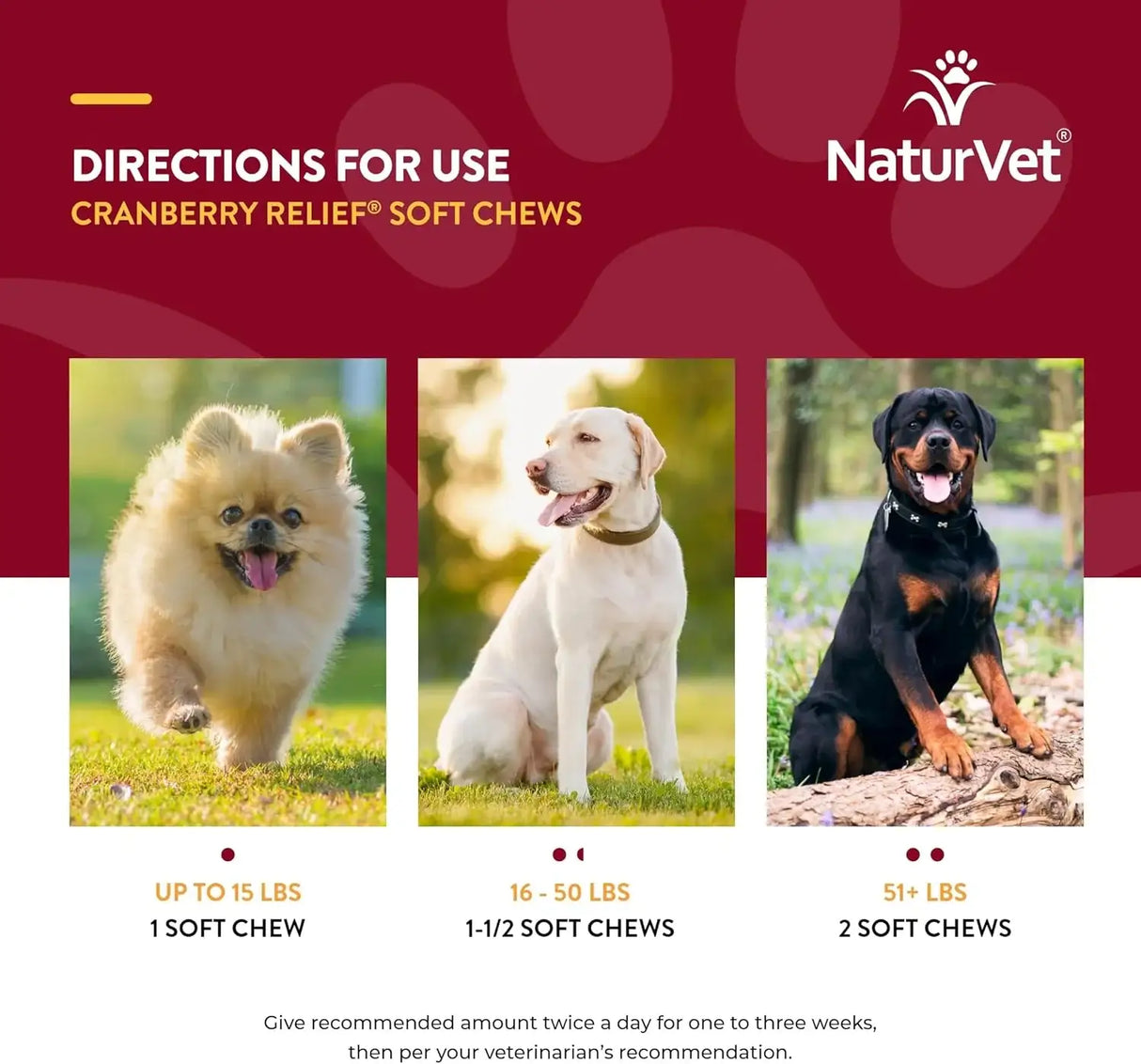 NATURVET - NaturVet Cranberry Relief Plus Echinacea 120 Masticables - The Red Vitamin MX - Salud De Tracto Urinario Para Perros - {{ shop.shopifyCountryName }}