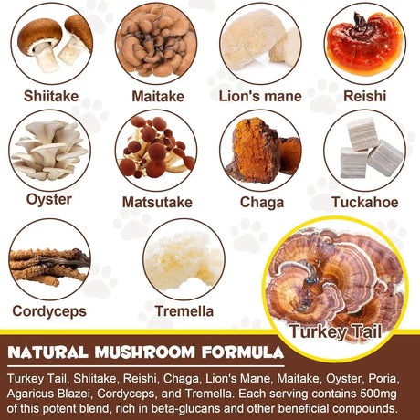 OIMMAL - Oimmal Mushroom Powder for Dogs & Cats 120Gr. - The Red Vitamin MX - Suplementos Herbales Para Perros - {{ shop.shopifyCountryName }}