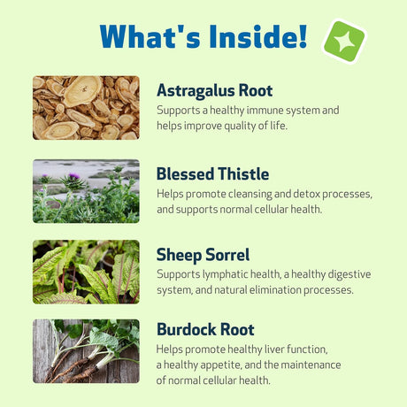 PET WELLBEING - Pet Wellbeing Life Gold for Dogs 4 Fl.Oz. - The Red Vitamin MX - Suplementos Herbales Para Perros - {{ shop.shopifyCountryName }}