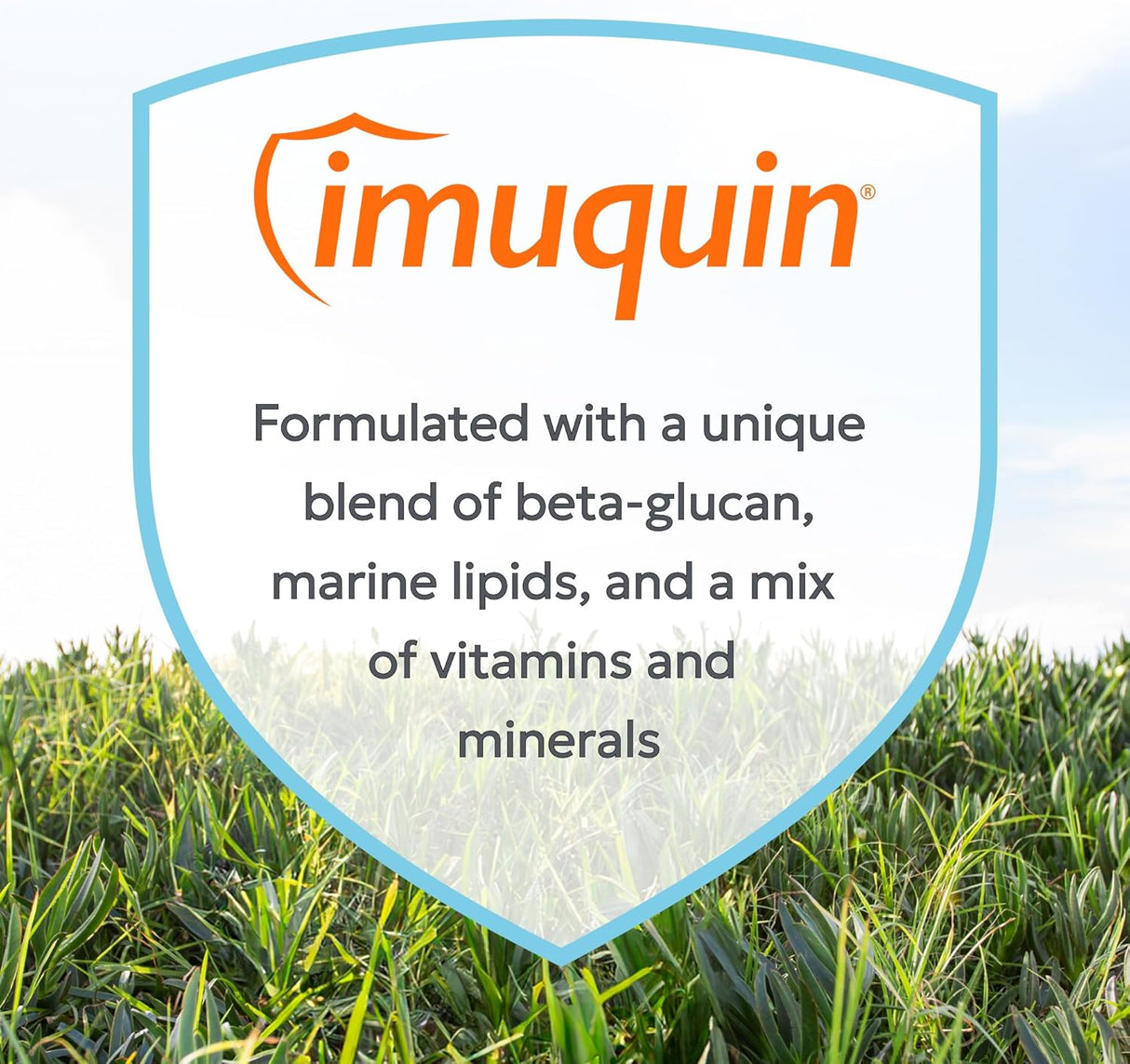 NUTRAMAX - Nutramax Laboratories Imuquin Immune Health Supplement Powder for Dogs 30 Paquetes - The Red Vitamin MX - Suplementos Herbales Para Perros - {{ shop.shopifyCountryName }}