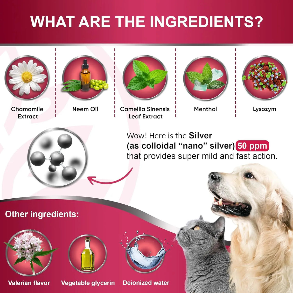 LEACADEMIC - LeAcademic Dog Breath Freshener 118Ml. - The Red Vitamin MX - Cuidado Dental Para Perros - {{ shop.shopifyCountryName }}