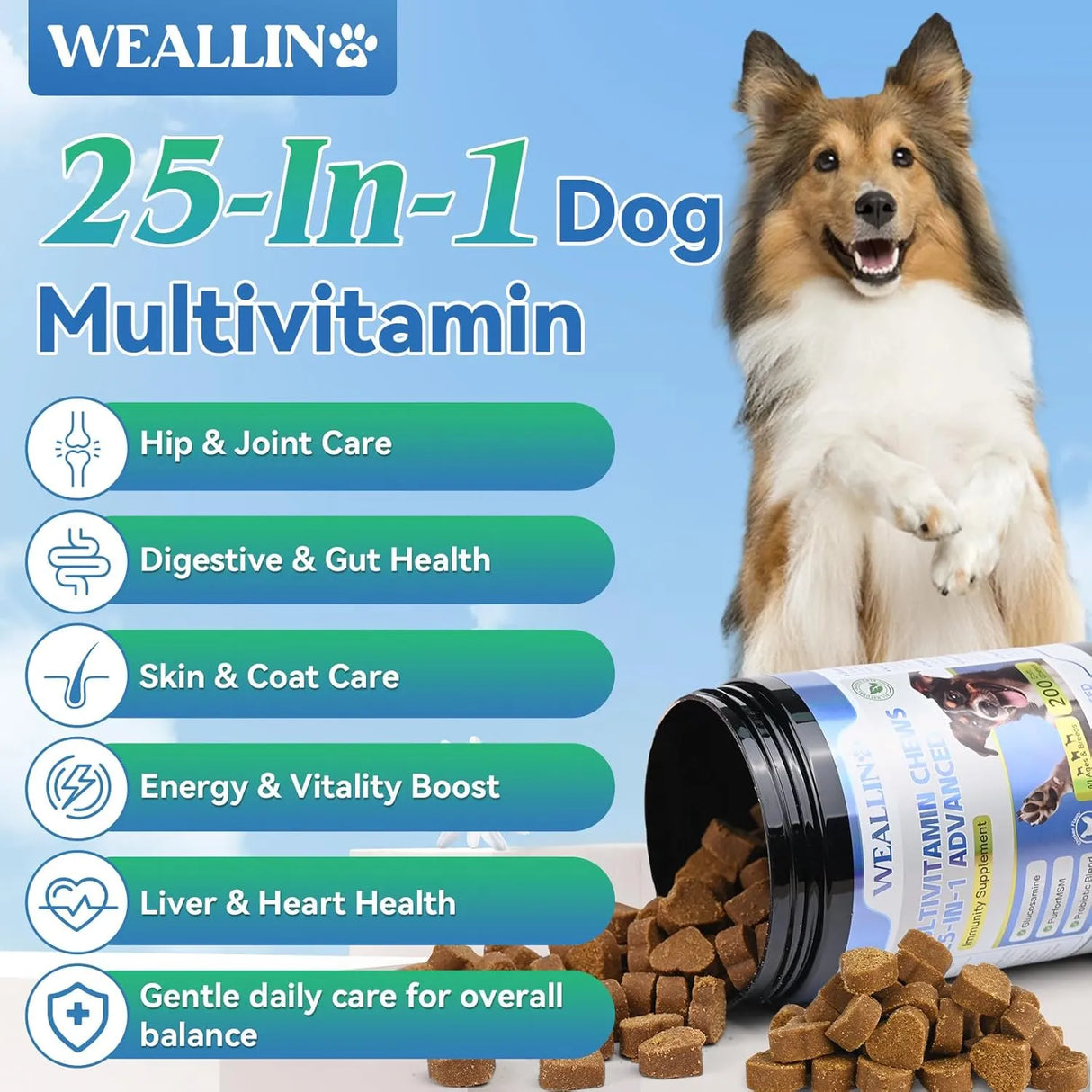 WEALLIN - WEALLIN 25-in-1 Dog Vitamins 200 Masticables - The Red Vitamin MX - Multivitamínicos Para Perros - {{ shop.shopifyCountryName }}