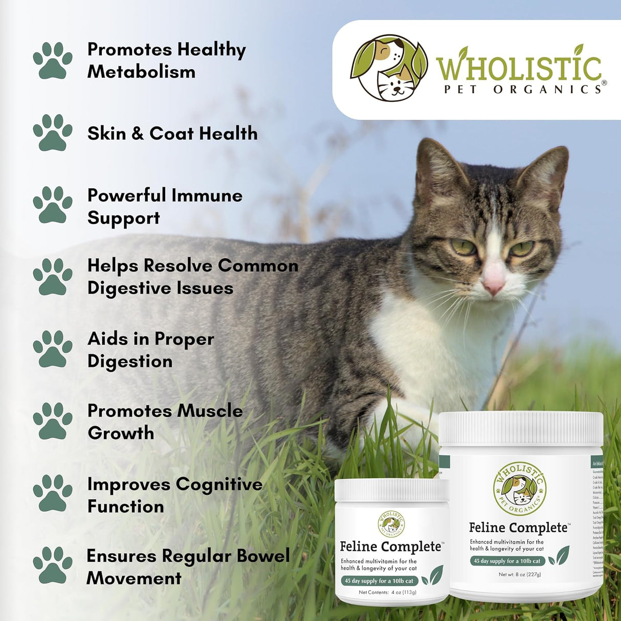 Wholistic Pet Organics Feline Complete Original Whitefish 113Gr.
