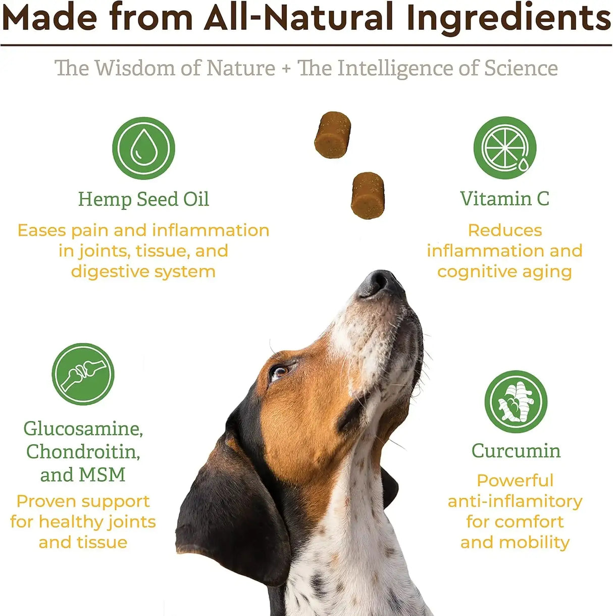 INFINITE PET - Infinite Pet Ultimate Hip and Joint Supplement for Dogs Peanut Butter 90 Masticables - The Red Vitamin MX - Cuidado De Cadera Y Articulaciones Para Perros - {{ shop.shopifyCountryName }}