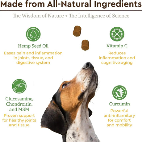 INFINITE PET - Infinite Pet Ultimate Hip and Joint Supplement for Dogs Peanut Butter 90 Masticables - The Red Vitamin MX - Cuidado De Cadera Y Articulaciones Para Perros - {{ shop.shopifyCountryName }}
