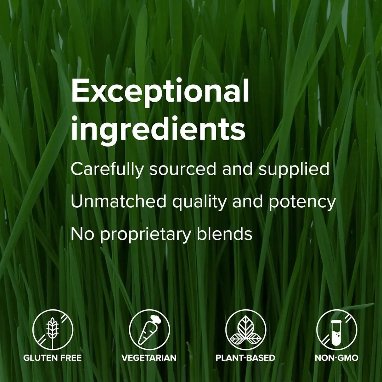 VIBRANT HEALTH - Vibrant Health U.T. Vibrance Powder 10 Servicios 58Gr. - The Red Vitamin MX - Suplementos Alimenticios - {{ shop.shopifyCountryName }}