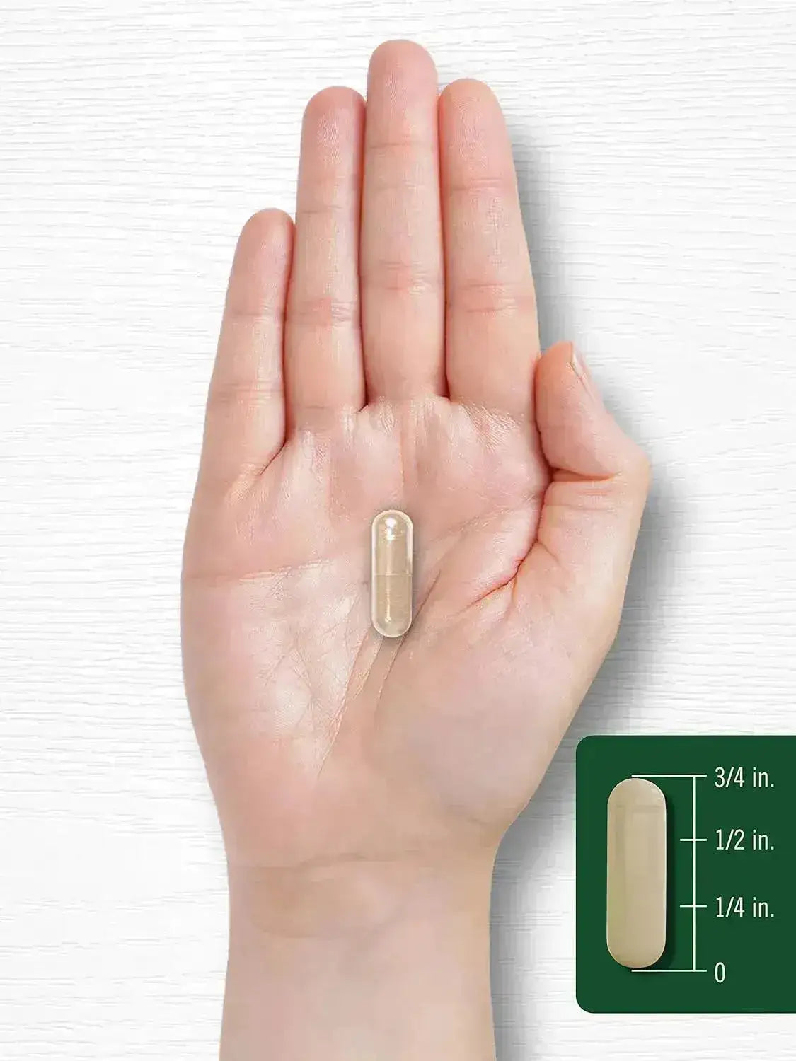 CARLYLE - Carlyle Kudzu Root 1600Mg. 100 Capsulas - The Red Vitamin MX - Suplementos Alimenticios - {{ shop.shopifyCountryName }}