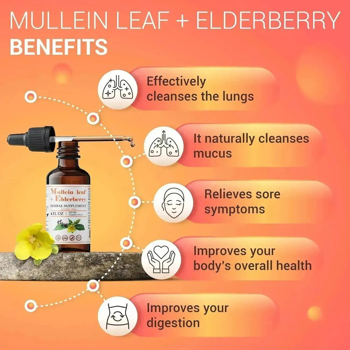 FABLAB - FabLab Mullein Leaf Extract with Elderberry 4 Fl.Oz. - The Red Vitamin MX - Suplementos Alimenticios - {{ shop.shopifyCountryName }}