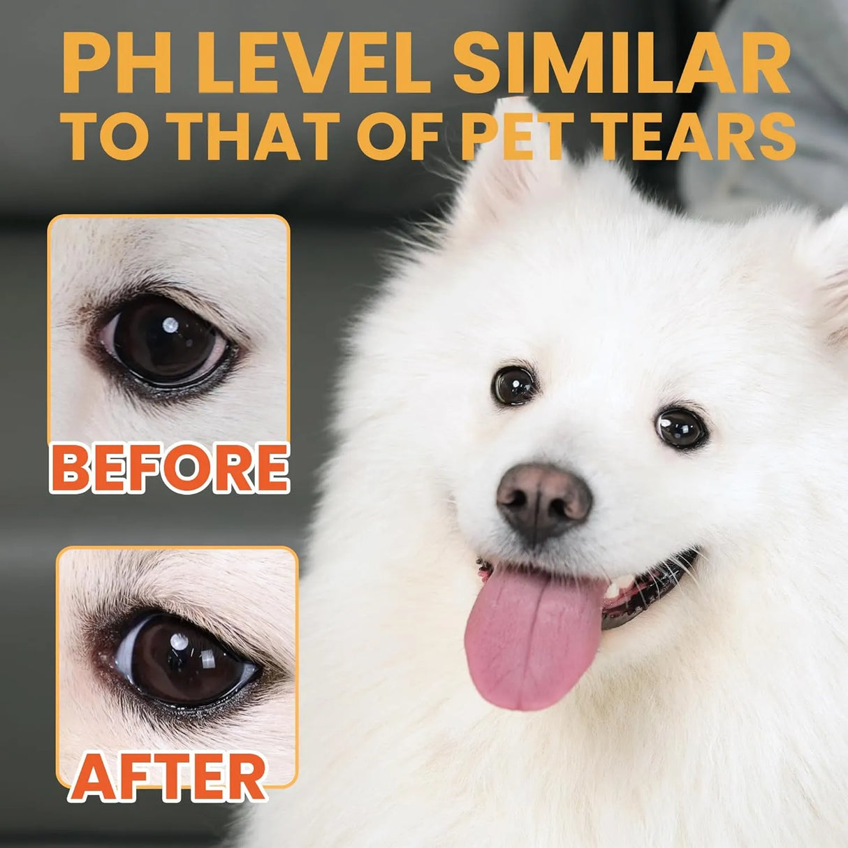 VETANIMUS - Vetanimus Dog Eye Drops 150Ml. - The Red Vitamin MX - Cuidado De Los Ojos De Los Perros - {{ shop.shopifyCountryName }}