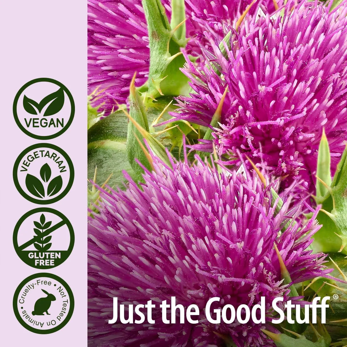 NATURE´S ANSWER - Nature's Answer Milk Thistle 120 Capsulas - The Red Vitamin MX - Suplementos Alimenticios - {{ shop.shopifyCountryName }}