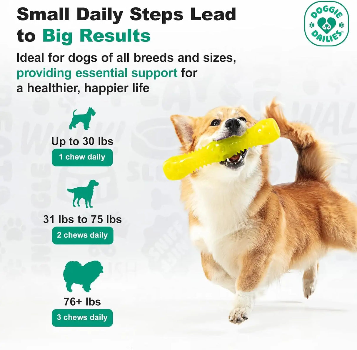 DOGGIE DAILIES - Doggie Dailies Advanced Senior Hip and Joint for Dogs Duck 120 Masticables - The Red Vitamin MX - Cuidado De Cadera Y Articulaciones Para Perros - {{ shop.shopifyCountryName }}