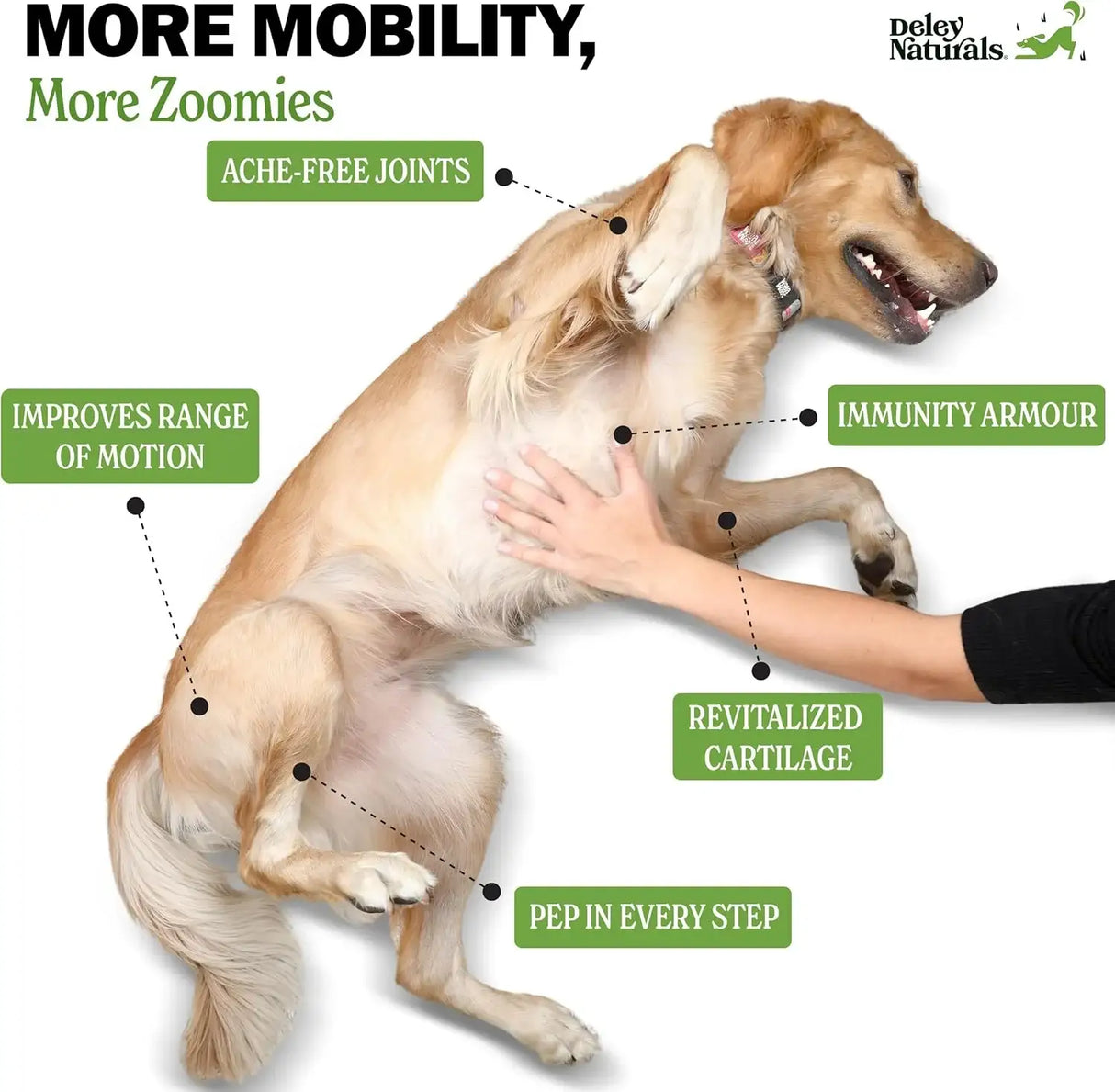 DELEY NATURALS - Deley Naturals Dog Hip and Joint Supplement 120 Masticables - The Red Vitamin MX - Cuidado De Cadera Y Articulaciones Para Perros - {{ shop.shopifyCountryName }}