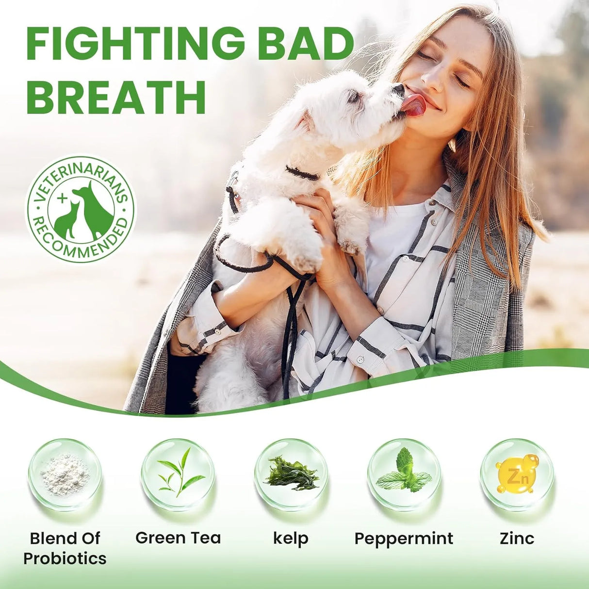BUDDYCHEER - BuddyCheer Dog Teeth Cleaning Powder 60-Day Supply Mint 150Gr. - The Red Vitamin MX - Cuidado Dental Para Perros - {{ shop.shopifyCountryName }}