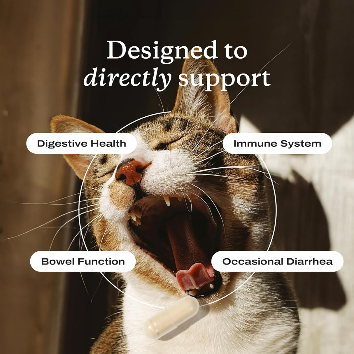 PetLab Co. Probiotics for Cats 30 Capsulas