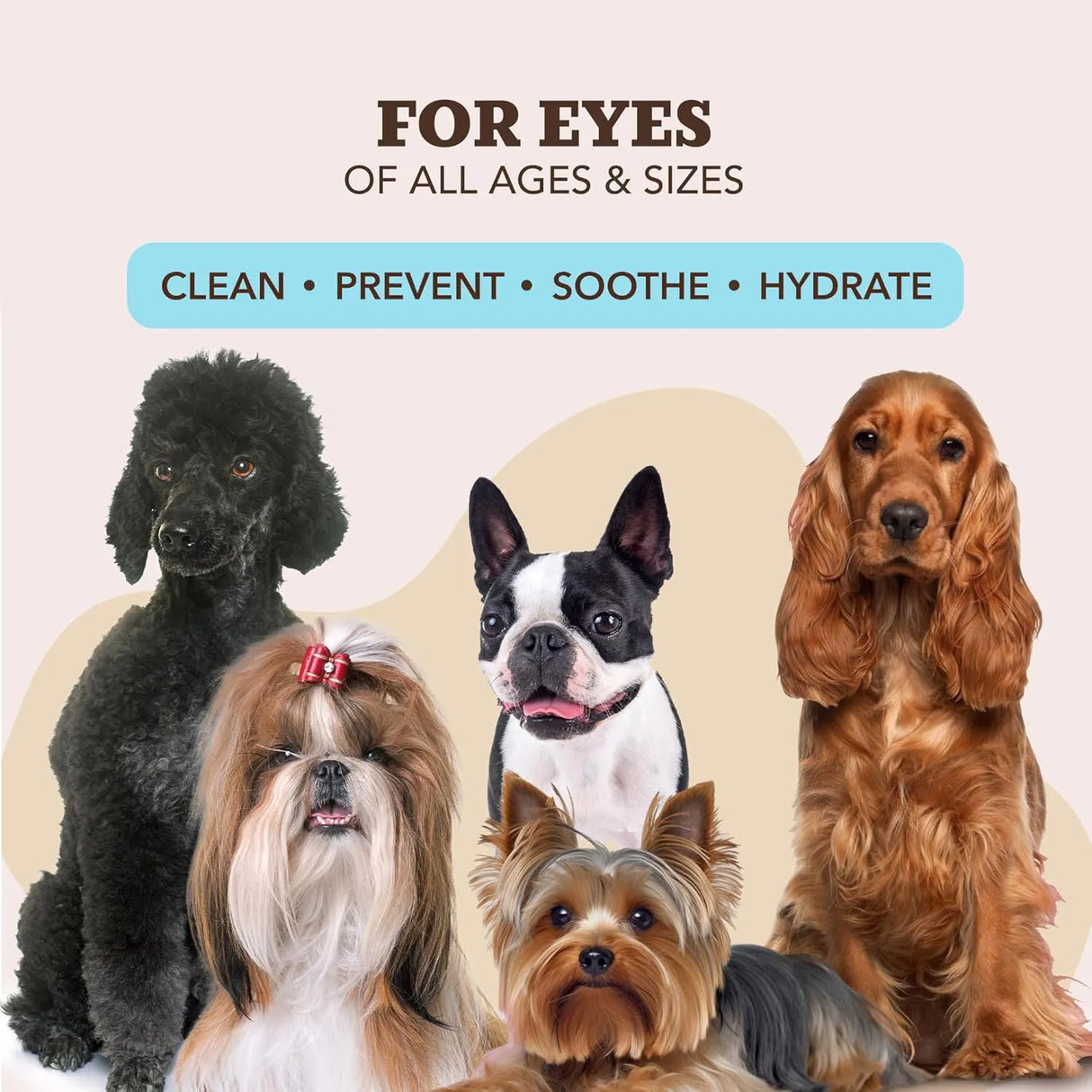 NATURAL DOG - Natural Dog Eye Wipes for Dogs 100 Toallitas - The Red Vitamin MX - Cuidado De Los Ojos De Los Perros - {{ shop.shopifyCountryName }}