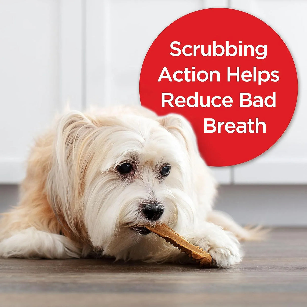 MILK BONE - Milk-Bone Original Brushing Chews Mini Dogs 48 Piezas - The Red Vitamin MX - Cuidado Dental Para Perros - {{ shop.shopifyCountryName }}