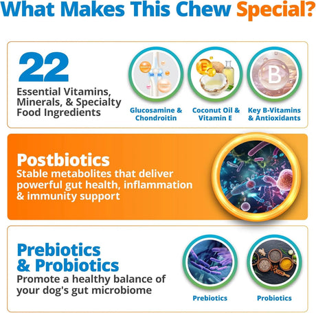 5STRANDS - 5Strands Dog Multivitamin Chews 10-in-1 Vitamins & Postbiotics Peanut Butter 90 Masticables - The Red Vitamin MX - Multivitamínicos Para Perros - {{ shop.shopifyCountryName }}