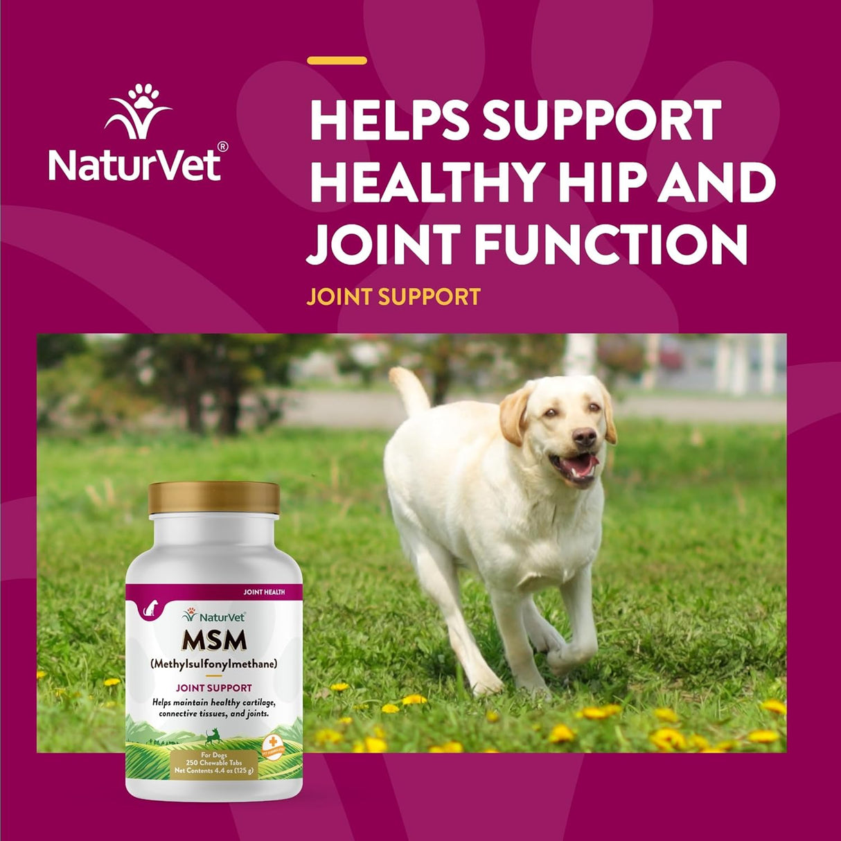 NaturVet Methylsulfonylmethane Joint Support Dog 250 Tabletas Masticables
