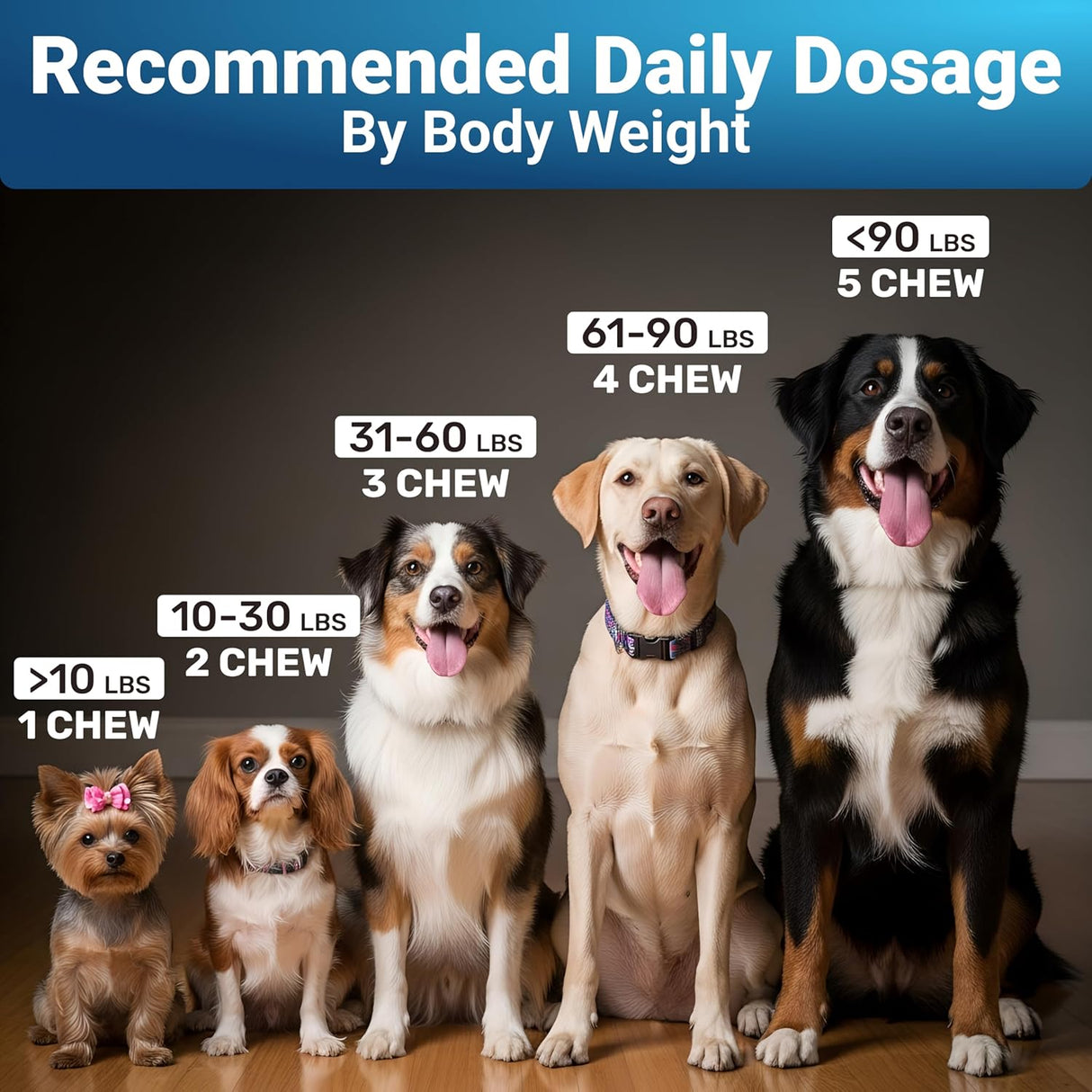 WuffWell Dog Skin and Coat 140 Masticables