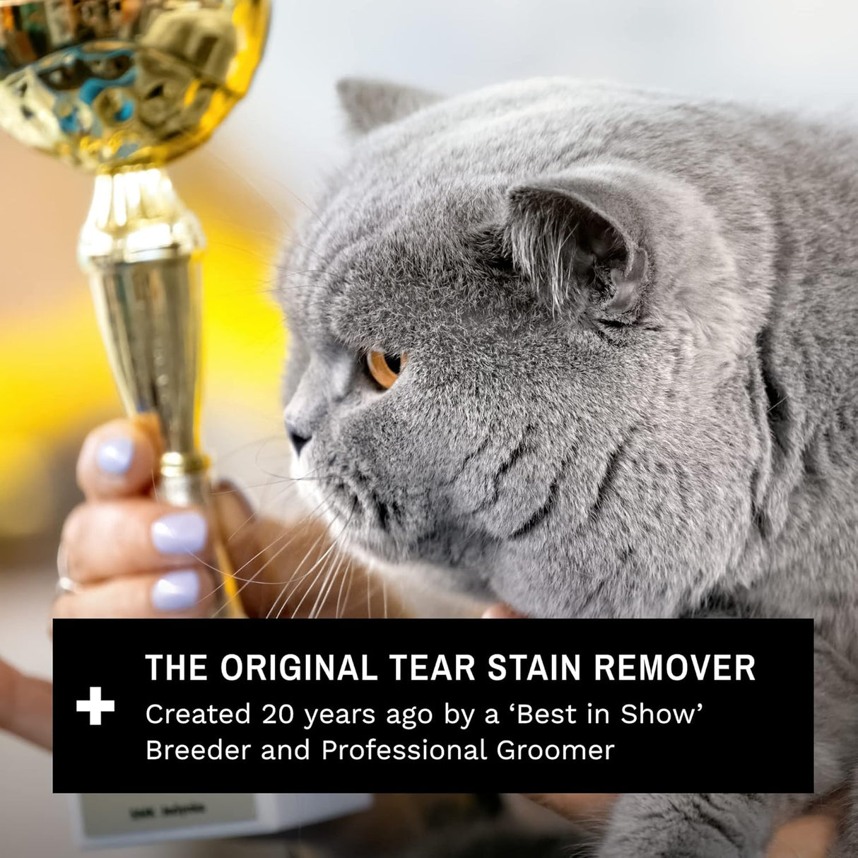 Eye Envy Cat Tear Stain Remover Starter Kit