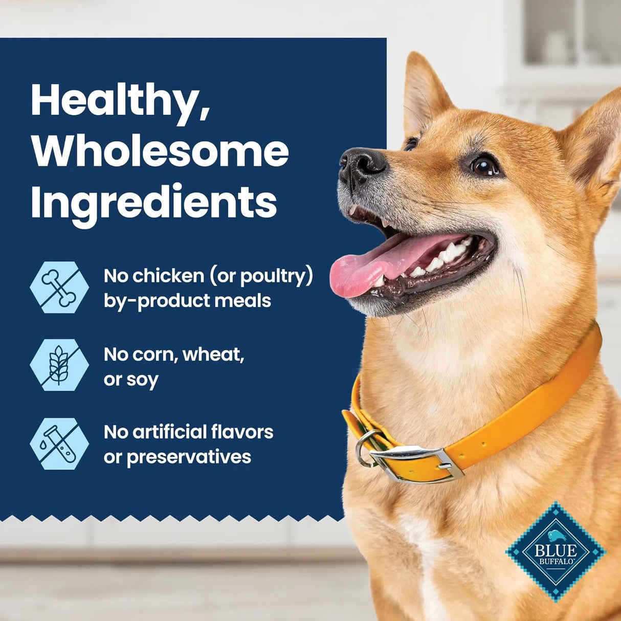 BLUE BUFFALO - Blue Buffalo Dental Chews Large Natural Dog Treats Chicken & Spearmint 14 Piezas - The Red Vitamin MX - Cuidado Dental Para Perros - {{ shop.shopifyCountryName }}