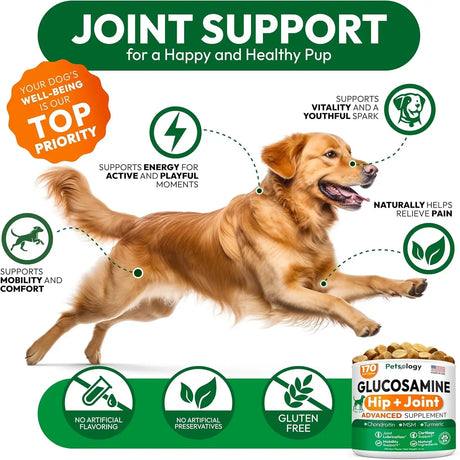 PETSOLOGY - Petsology Glucosamine for Dogs Hip and Joint Supplement 170 Masticables - The Red Vitamin MX - Cuidado De Cadera Y Articulaciones Para Perros - {{ shop.shopifyCountryName }}