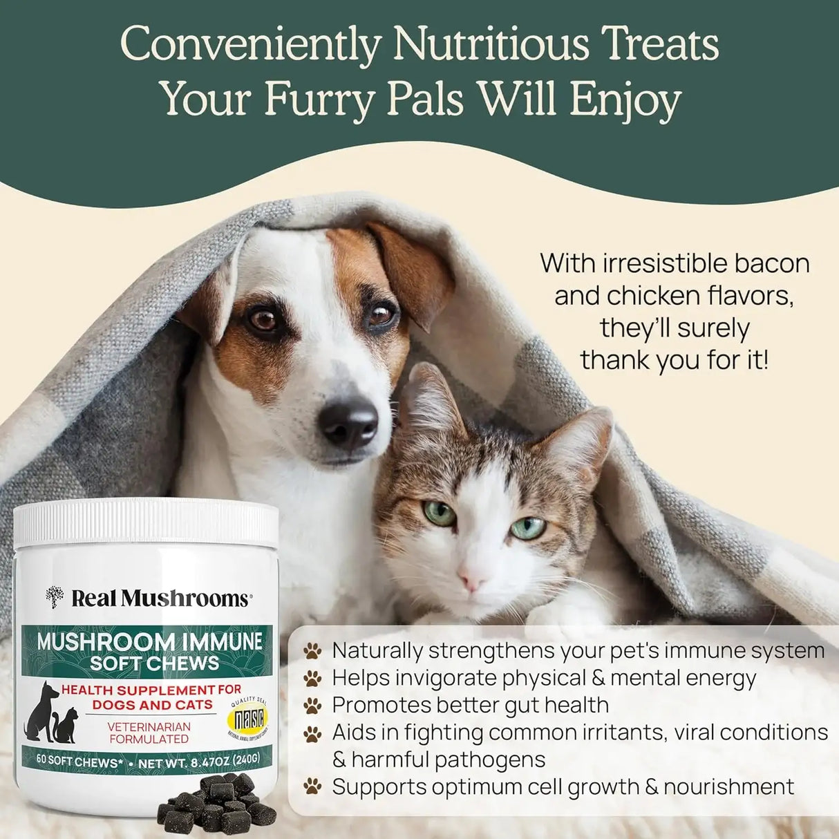 REAL MUSHROOMS - Real Mushrooms Immune Soft Chews for Pets 60 Masticables - The Red Vitamin MX - Suplementos Herbales Para Perros - {{ shop.shopifyCountryName }}