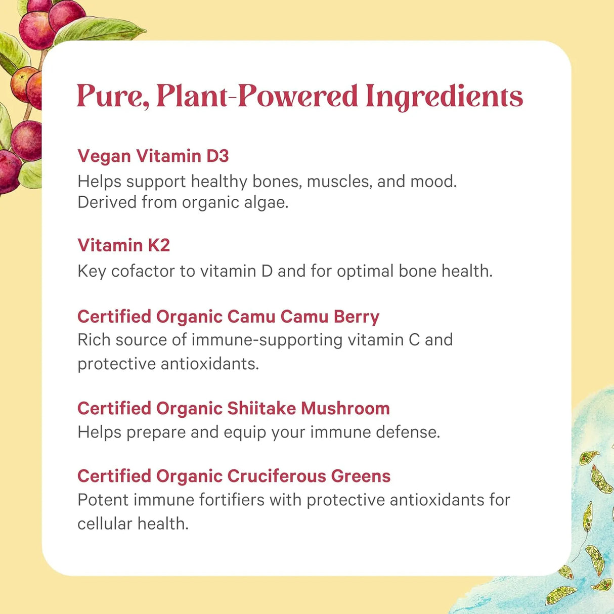 PURE SYNERGY - PURE SYNERGY D3 + K2 Complex 60 Capsulas - The Red Vitamin MX - Suplementos Alimenticios - {{ shop.shopifyCountryName }}