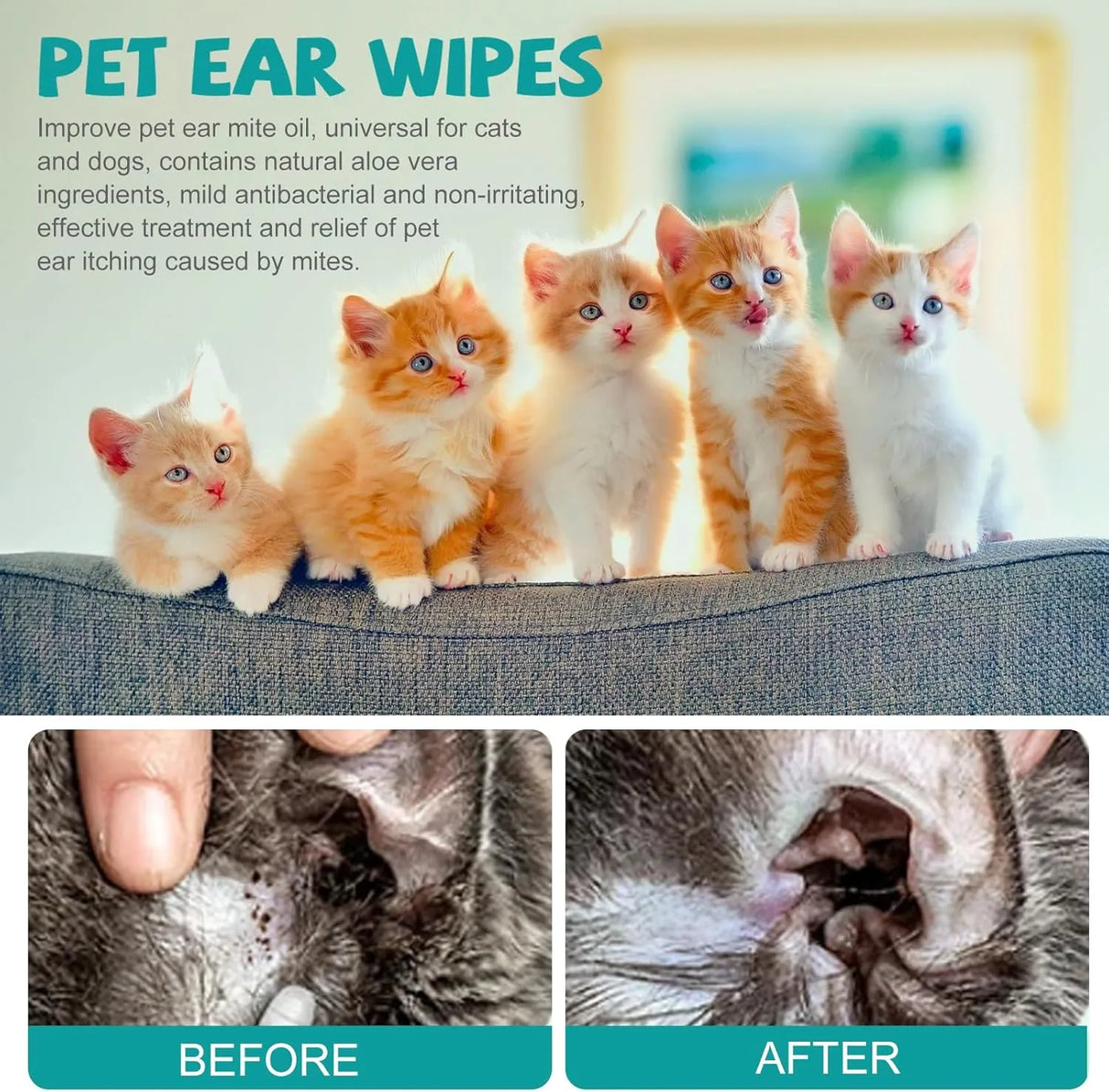 VONDER - VONDER Ear Cleaner Finger Wipes for Dogs & Cats 50 Toallitas - The Red Vitamin MX - Cuidado Del Oído De Perros - {{ shop.shopifyCountryName }}