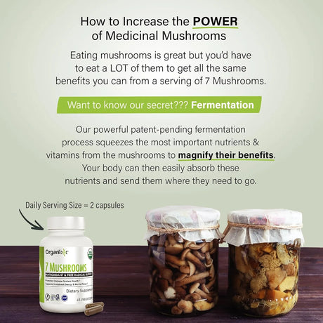 ORGANIXX - Organixx 7 Fermented Mushrooms 60 Capsulas - The Red Vitamin MX - Suplementos Alimenticios - {{ shop.shopifyCountryName }}