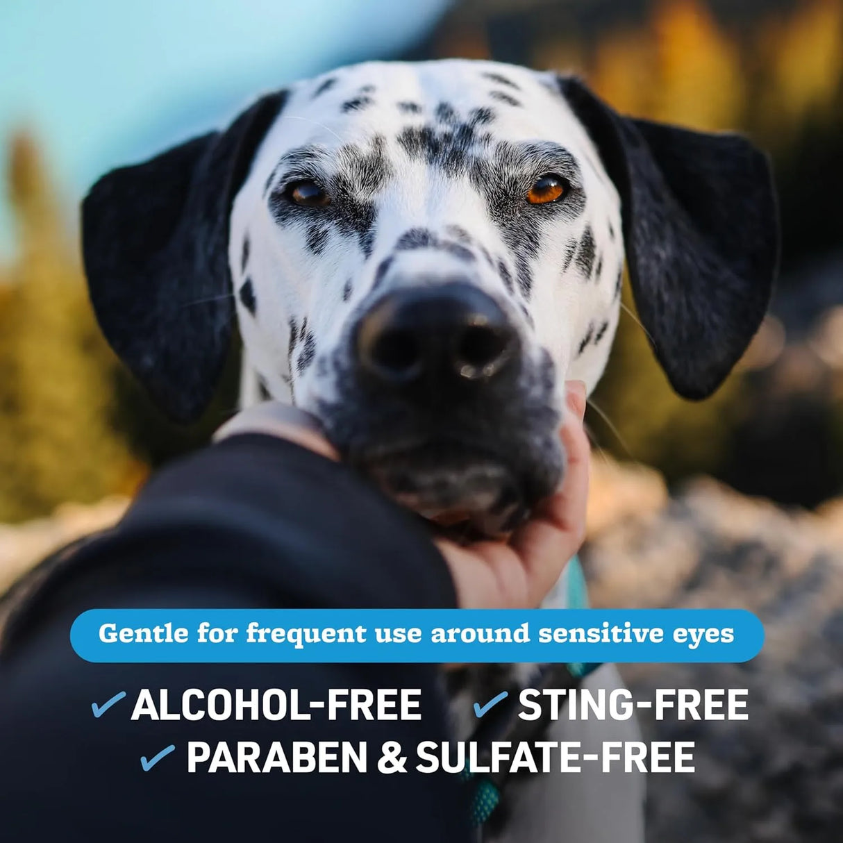 VETERINARY FORMULA - Veterinary Formula Smart Coat Complex Tear Stain Wipes for Dogs & Cats 100 Toallitas - The Red Vitamin MX - Cuidado De Los Ojos De Los Perros - {{ shop.shopifyCountryName }}