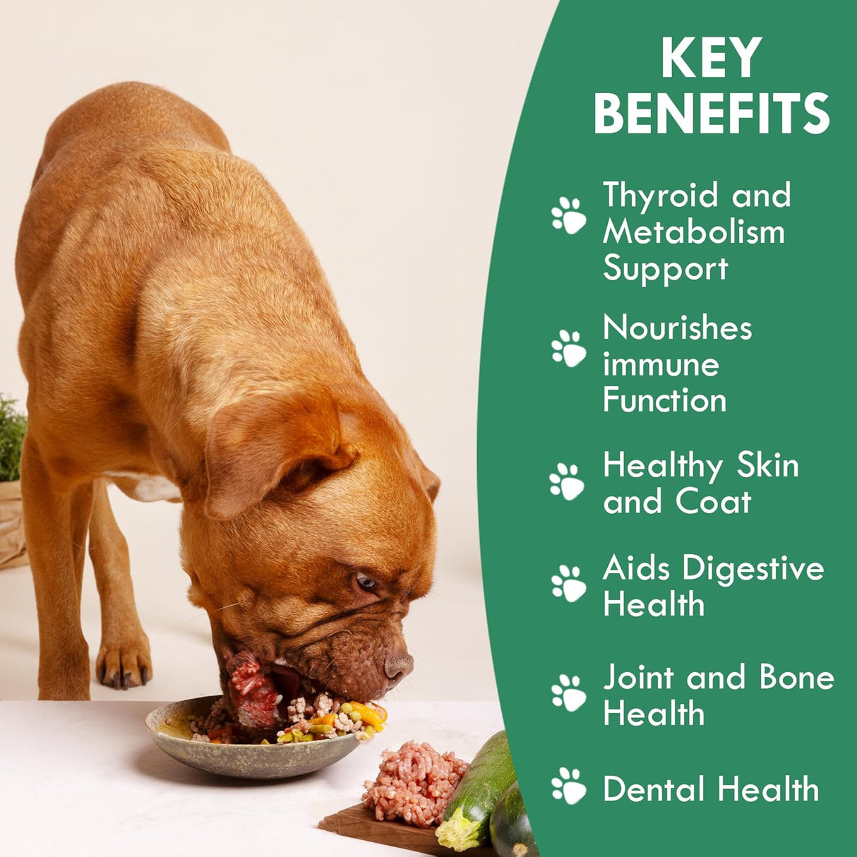 HOLISTIC BIN - Holistic Bin Canine Atlantic Sea Kelp for Dogs 50Gr. - The Red Vitamin MX - Suplementos Herbales Para Perros - {{ shop.shopifyCountryName }}