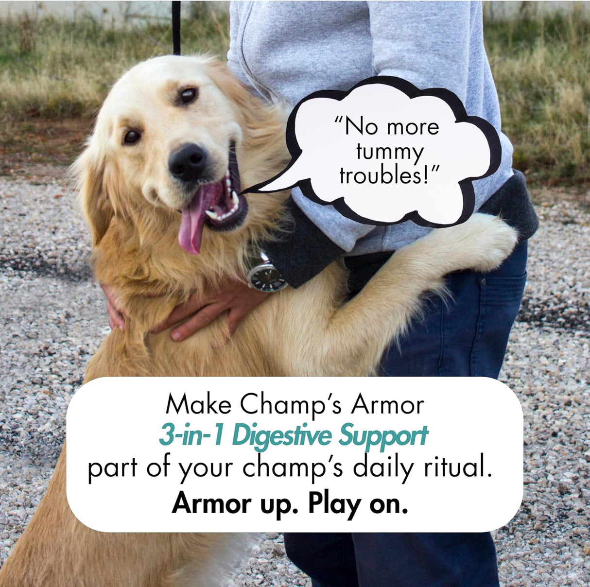 Champ’s Armor 3-in-1 Digestive Support for Dogs 60 Masticables