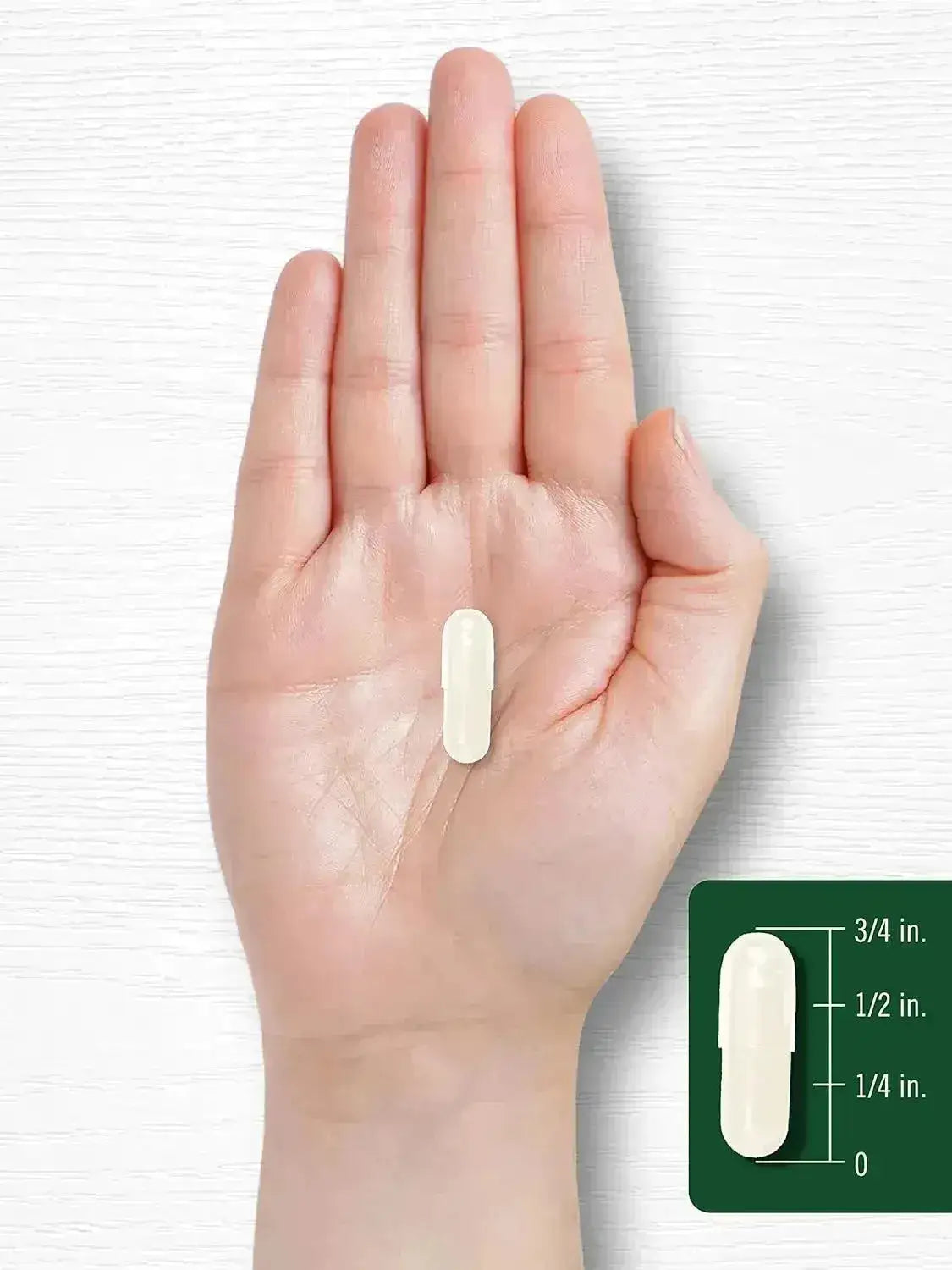 CARLYLE - Carlyle Grapefruit Seed Extract 500Mg. 120 Capsulas - The Red Vitamin MX - Suplementos Alimenticios - {{ shop.shopifyCountryName }}