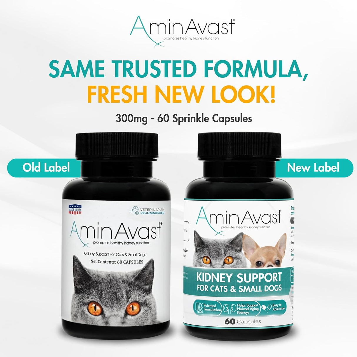 AminAvast Small Dogs & Cat Kidney Support 60 Capsulas