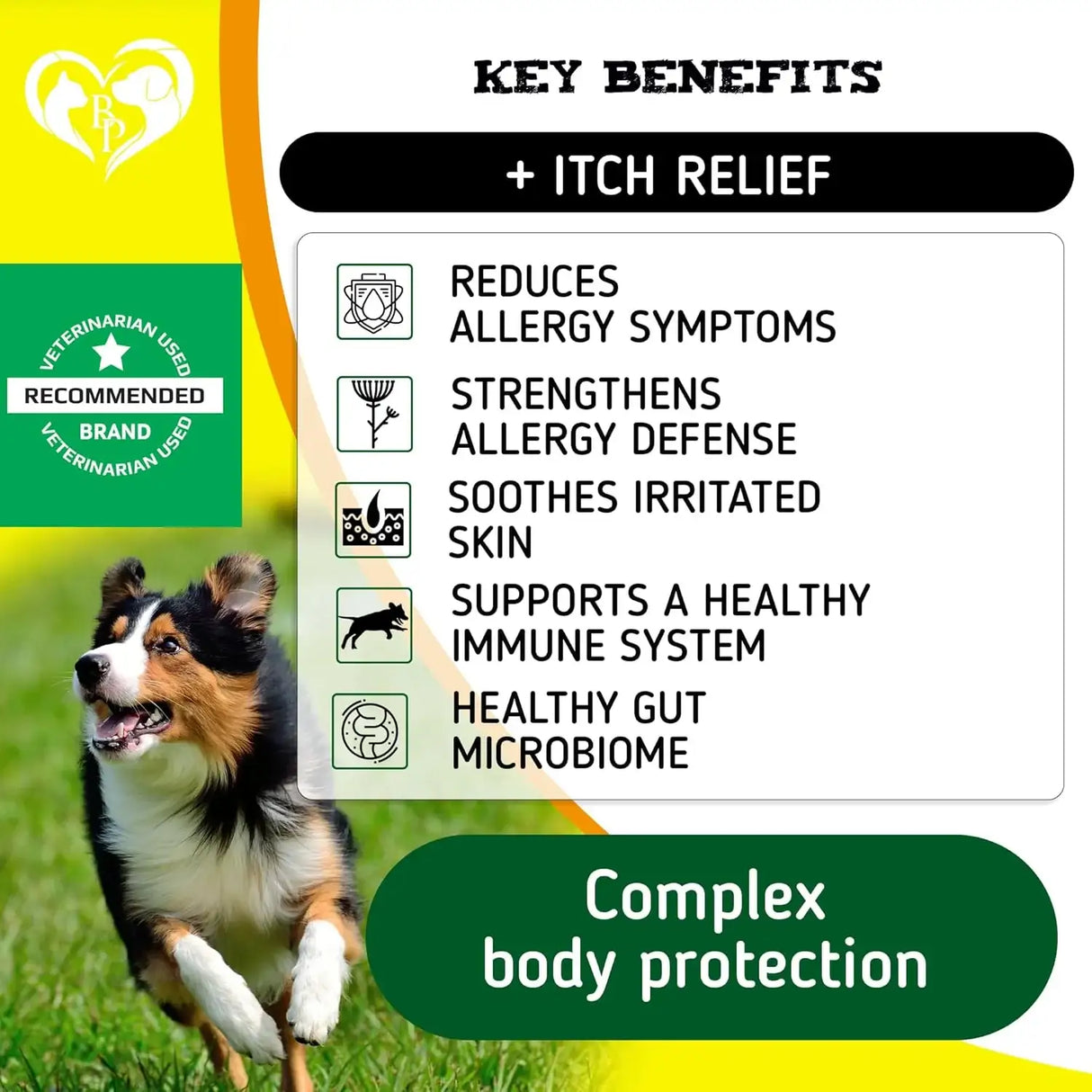 BELOVED PETS - Beloved Pets Dog Anti Itch & Allergy Relief Chews 12 Oz. - The Red Vitamin MX - Remedios Para La Picazón De Perros - {{ shop.shopifyCountryName }}