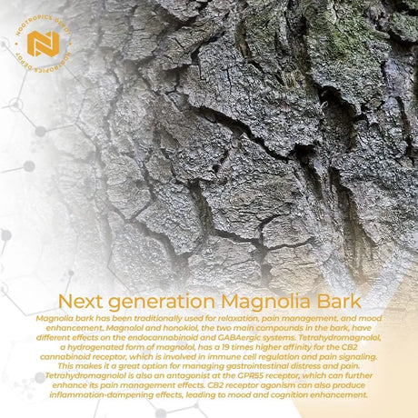 NOOTROPICS DEPOT - Nootropics Depot Tetrahydromagnolol Quick Dissolve Tablets 20Mg. 180 Tabletas - The Red Vitamin MX - Suplementos Alimenticios - {{ shop.shopifyCountryName }}