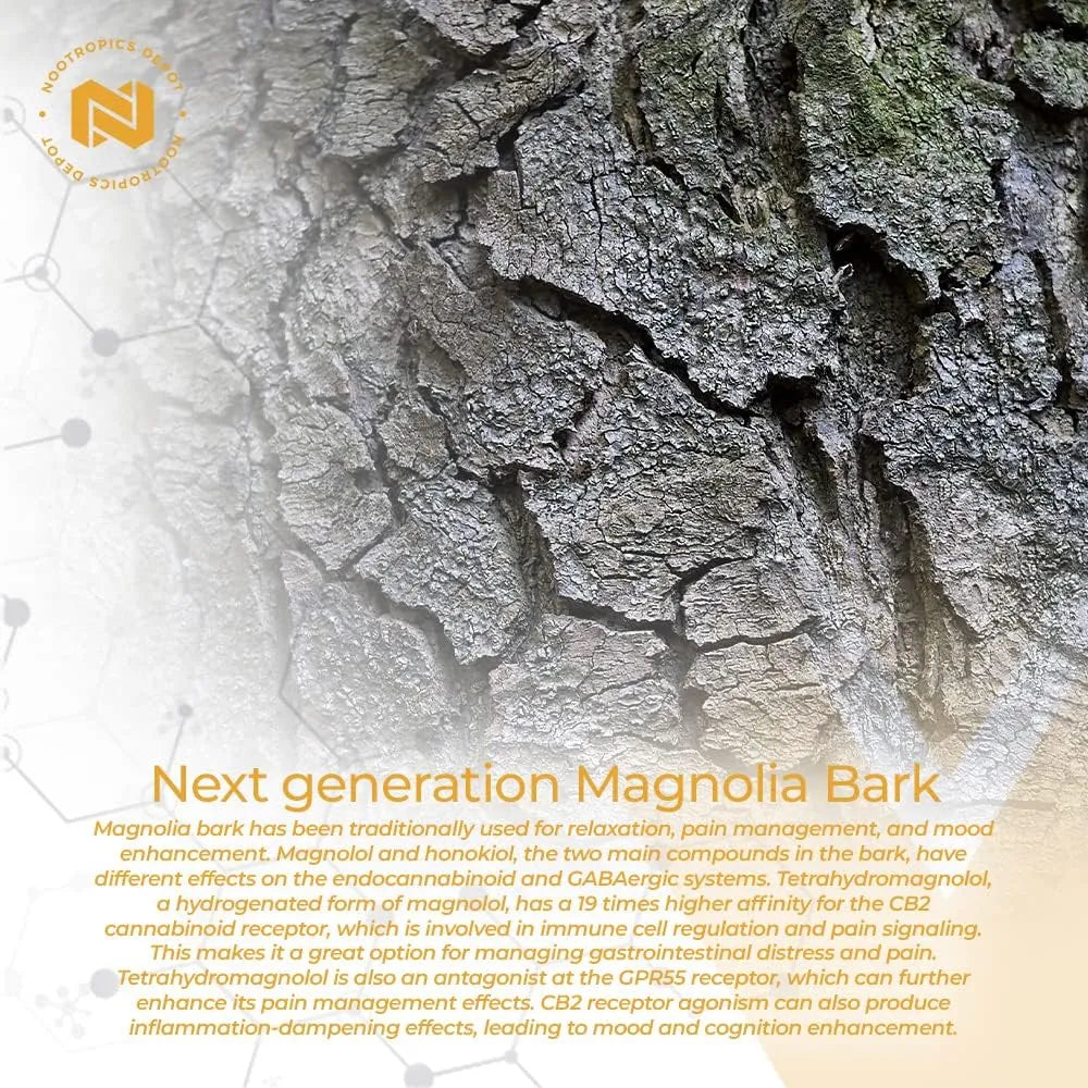 NOOTROPICS DEPOT - Nootropics Depot Tetrahydromagnolol Quick Dissolve Tablets 20Mg. 180 Tabletas - The Red Vitamin MX - Suplementos Alimenticios - {{ shop.shopifyCountryName }}